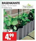 Rasenkante im Angebot bei Wreesmann in Stade Rasenkante Angebote von Top Flora bei Wreesmann Stade für 4,99 €