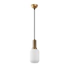 Opviq Pendelleuchte Asker-15191  im aktuellen POCO Prospekt für 27,99 €