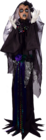 Dame noire en promo chez Gifi Dame noire dans le catalogue Gifi