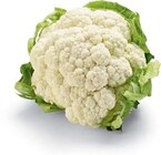 Blumenkohl Angebote von HEIMAT bei Netto Marken-Discount Cottbus für 1,29 €