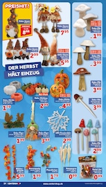 Kunstblumen im CENTERSHOP Prospekt in Dormagen Aktueller CENTERSHOP Prospekt mit Kunstblumen, "Da geht was.", Seite 10