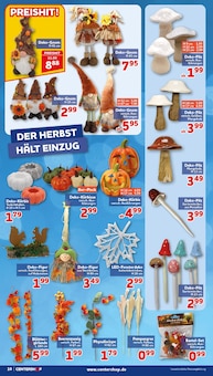 Kunstblumen im aktuellen CENTERSHOP Prospekt (Krefeld) Kunstblumen im CENTERSHOP Prospekt "Da geht was." mit 20 Seiten (Krefeld)