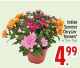 Indian Summer Chrysanthemen von  im aktuellen EDEKA Prospekt für 4,99 €
