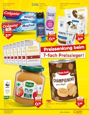 Tierbedarf im Netto Marken-Discount Prospekt in München Aktueller Netto Marken-Discount Prospekt mit Tierbedarf, "Aktuelle Angebote", Seite 7
