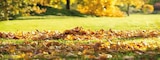 Herbst- und Nachsaatrasen von Kiepenkerl für 6,99 € bei Globus-Baumarkt im Angebot Herbst- und Nachsaatrasen von Kiepenkerl im aktuellen Globus-Baumarkt Prospekt