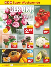 Aktueller Netto Marken-Discount Prospekt mit Tomaten, "Aktuelle Angebote", Seite 45