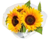 EDEKA Welt - Moosrosen Angebot im Prospekt Moosrosen bei EDEKA im Welt Prospekt für 2,99 €