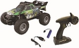 Modellbau Mountain Race Champion Truck 1 Angebote von df models bei expert Görlitz für 19,00 €