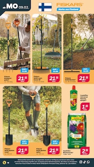 Blumenerde im Netto mit dem Scottie Prospekt "Günstig. Besser. Für Dich." mit 40 Seiten (Halle (Saale))