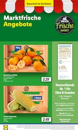 Ähnliche Angebote wie Spargel im Prospekt "LIDL LOHNT SICH" auf Seite 2 von Lidl in Kamp-Lintfort