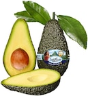 Avocado im Angebot bei REWE in Karlsruhe Avocado Angebote von essreif bei REWE Karlsruhe für 1,99 €