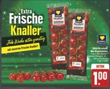Aktuelle Tomaten Angebote bei E center in Erlangen Aktuelles Mini-Rispentomaten Angebot bei E center in Erlangen ab 1,00 €