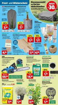 Teppich im Thomas Philipps Prospekt "Top Angebote" mit 20 Seiten (Regensburg)