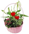 Muttertags-Arrangements bei Kaufland im Wesel Prospekt für 3,99 €