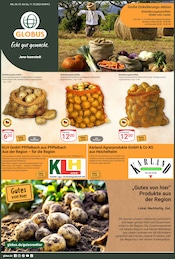 Aktueller GLOBUS Supermarkt Prospekt in Blankenhain und Umgebung, "Aktuelle Angebote" mit 27 Seiten, 06.10.2025 - 11.10.2025
