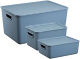 Box Akita Angebote bei REWE Bonn für 6,99 €