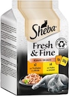 Katzenahrung Fresh&Fine Angebote von Sheba bei REWE Ludwigshafen für 2,19 €