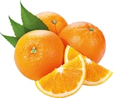 Orangen im Angebot bei REWE in Hürth Orangen Angebote bei REWE Hürth für 2,99 €