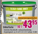 Streichen im Hornbach Prospekt Silikatfarbe von Hornbach im aktuellen Hornbach Prospekt für 43,95 €