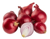 Rote Bio Speisezwiebeln von REWE Bio für 1,19 € bei REWE im Angebot Rote Bio Speisezwiebeln von REWE Bio im aktuellen REWE Prospekt