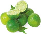 Bio Limetten im Angebot bei REWE in Gladbeck Bio Limetten Angebote von REWE Bio bei REWE Gladbeck für 0,39 €
