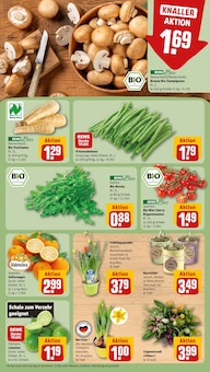 Blumen im aktuellen REWE Prospekt (Bremen) Blumen im REWE Prospekt "Dein Markt" mit 20 Seiten (Bremen)