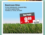 Kunstrasen Orion Angebote bei Witthus Heimtex-Fachmarkt GmbH Bremen für 9,99 €