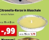 Aktuelle Kerzen Angebote bei Thomas Philipps in Lübeck Aktuelles Citronella-Kerze in Aluschale Angebot bei Thomas Philipps in Lübeck ab 0,99 €