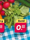 Radieschen im aktuellen Netto mit dem Scottie Prospekt