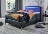 Aktuelles Boxspringbett Angebot bei Möbel Inhofer in Ulm ab 598,00 €
