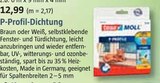 BAUHAUS - P-Profil-Dichtung Angebot im Prospekt P-Profil-Dichtung bei BAUHAUS im Prospekt "Handzettel KW 36" für 15,99 €