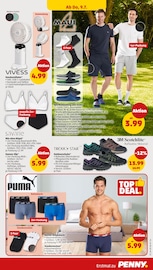 Strümpfe im Penny Prospekt in Würzburg Aktueller Penny Prospekt mit Strümpfe, "Wer günstig will, muss Penny.", Seite 29
