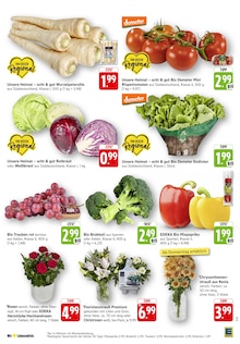 Blumen im aktuellen EDEKA Prospekt (Heilbronn) Blumen im EDEKA Prospekt "Aktuelle Angebote" mit 53 Seiten (Heilbronn)