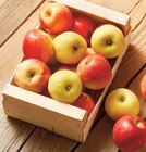 Intermarché Express Nice - Promo Pomme bicolore et/ou jaune Promo Pomme bicolore et/ou jaune à 0,45 € dans le catalogue Intermarché Express à Nice