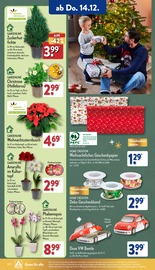 Blumen im ALDI Nord Prospekt in Chemnitz Aktueller ALDI Nord Prospekt mit Blumen, "Aktuelle Angebote", Seite 20