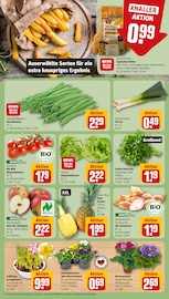 Bohnen im REWE Prospekt in Stuttgart Aktueller REWE Prospekt mit Bohnen, "Dein Markt", Seite 7