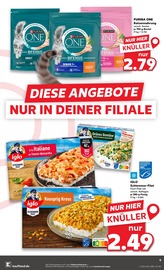 Aktueller Kaufland Prospekt mit Katzenfutter, "Hier bin ich richtig", Seite 9