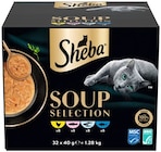 Aktuelles Soup Selection Angebot bei REWE in Nürnberg ab 15,99 €