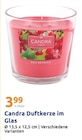 Duftkerze im Glas im Angebot bei Action in Waiblingen Duftkerze im Glas Angebote von Candra bei Action Waiblingen für 3,99 €