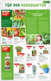 Aktueller ZG Raiffeisen Prospekt mit Tomaten, "MUTTERTAG: KLEINE GESTE - GROSSE FREUDE", Seite 5
