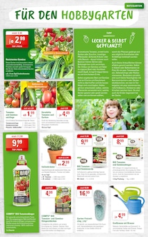 Tomaten im ZG Raiffeisen Prospekt "MUTTERTAG: KLEINE GESTE - GROSSE FREUDE" mit 8 Seiten (Heidelberg)