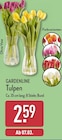 Tulpen von GARDENLINE im aktuellen ALDI Nord Prospekt für 2,59 €