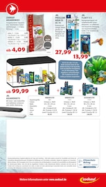 Steine im Zookauf Prospekt in Hannover Aktueller Zookauf Prospekt mit Steine, "Alles für tierische Verwöhn-Momente", Seite 16