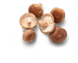 Kaufland Haby - dtsch. Shiitake-Pilze Angebot im Prospekt dtsch. Shiitake-Pilze bei Kaufland im Haby Prospekt für 7,16 €