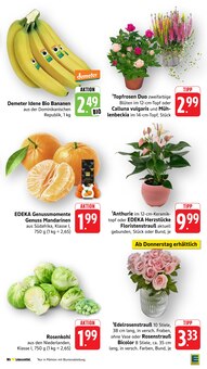 Pflanzen im EDEKA Prospekt "Aktuelle Angebote" mit 50 Seiten (Freiburg (Breisgau))