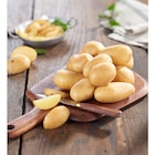 Promo Pomme de terre de consommation à 2,95 € dans le catalogue Carrefour Market à Saint-Pol-sur-Ternoise