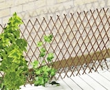 Weidenrankgitter Angebote bei Thomas Philipps Ulm für 3,98 €