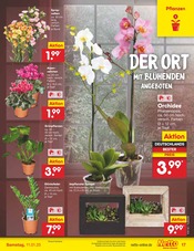 Aktueller Netto Marken-Discount Prospekt mit Farbe, "Aktuelle Angebote", Seite 25