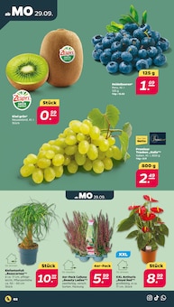Aktueller Netto mit dem Scottie Prospekt "Günstig. Besser. Für Dich." Seite 2 von 35 Seiten