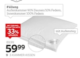 Aktuelles 3-KAMMER-KISSEN Angebot bei XXXLutz in Duisburg ab 59,99 €